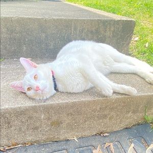 Meet your Posher, Fati